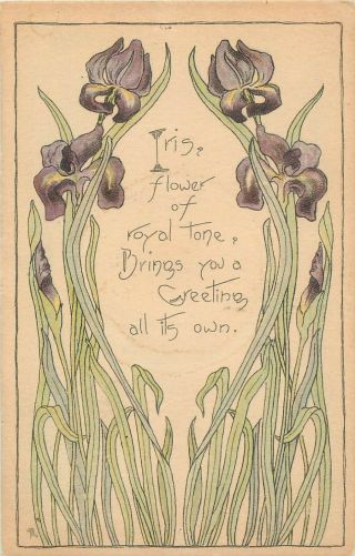 Iris Flower Arts And Crafts Art Nouveau Artist Postcard 1910s