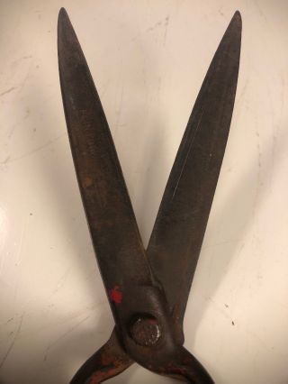 Vintage Wiss Gardening Shears Forged No.  5600 Grass Clippers Locking 5 