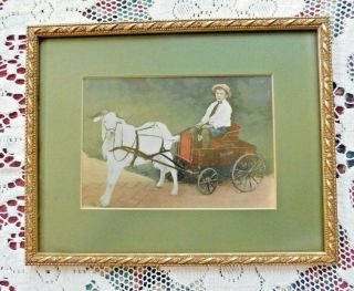 Antique Framed Photo Colorized Of Young Boy In A Wagon Pulled By A Goat