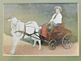 ANTIQUE FRAMED PHOTO COLORIZED OF YOUNG BOY IN A WAGON PULLED BY A GOAT 2