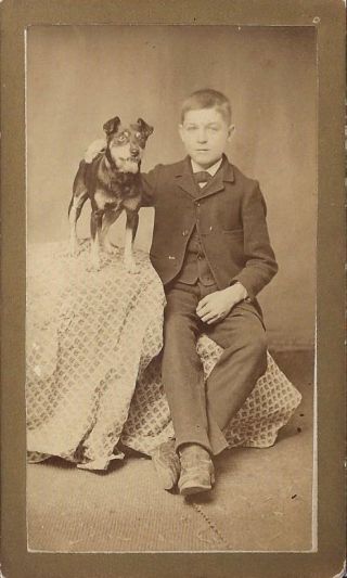 Antique Cdv Photo Boy And Dog Image Photo Pet