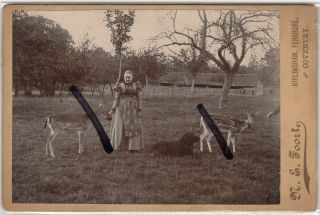 Birlingham Pershore Cabinet Photograph Woman Fine Costume Setter Dog Deer C.  1895