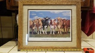 Foster Mothers Of The Human Race Framed Print.
