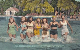 Women Silver Springs Florida Linen Postcard 1950 