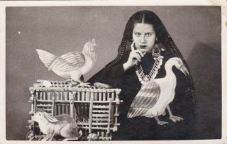 Egypt Old Vintage Photographer.  Bedouin With Rabbit And Birds