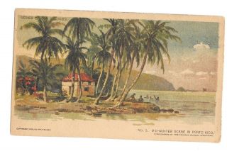 Vintage Postcard Mid - Winter Scene In Porto (puerto) Rico C.  1903 Hearst Udb