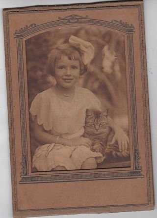 Antique Cabinet Card Photograph Little Girl W/ Huge Bow - Cat / Kitten On Lap