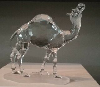 Swarovski Crystal The Camel 247683 W/coa Retired