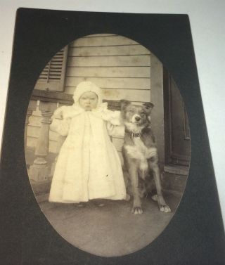 Rare Antique American Fashion Child,  Front Porch,  Pet Dog Animal Cabinet Photo