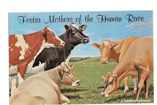 Postcard Foster Mothers Human Race Hoard 