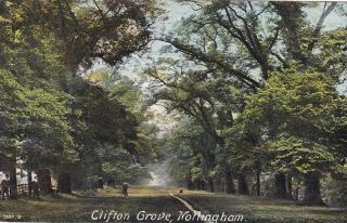 Nottingham - Clifton Grove By Hartmann 1904