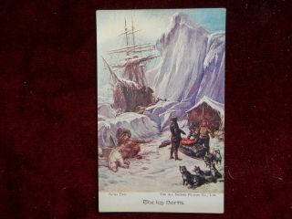 Vintage Postcard,  The Icy North (arctic Exploration)
