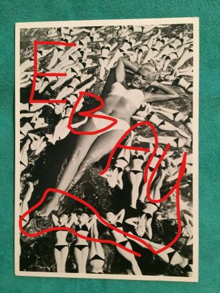 Jayne Mansfield B/w Postcard 1957 Allan Grant Photo Bel Air Bikini Bottles