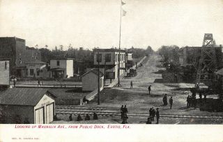 Fl 1900’s Rare Florida Magnolia Avenue From Dock In Eustis,  Fla - Lake County