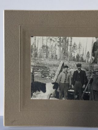 Antique Photo Cabinet Card Of A Group Of Men Logging In Montana? 2