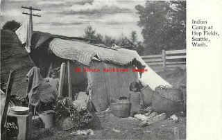 Native American Indians,  Camp At Hop Fields,  Seattle,  Washington,  C & R