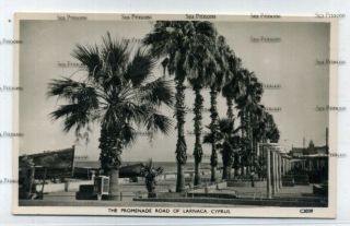 Cyprus Postcard The Promenade Road Of Larnaca Soteriou Photochrom 1950s C3039