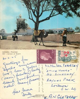 S11732 Native Camel Mosque,  Djerba,  Tunisia Postcard 1965 Stamp Combined Ship