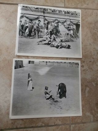 2 Vintage 8 X 10 Photos With Deborah Kerr Bull Fight & Gladiators.  Ds9412 A