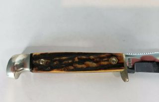 Vintage Case XX USA 523 - 3 1/4 SS Stag Handle SSP Small Game Knife 3