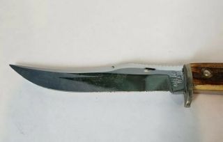 Vintage Case XX USA 523 - 3 1/4 SS Stag Handle SSP Small Game Knife 4