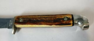 Vintage Case XX USA 523 - 3 1/4 SS Stag Handle SSP Small Game Knife 5