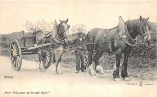 England Uk Carting Horses Htl Hold Card To Light Novelty Postcard (c.  1907)