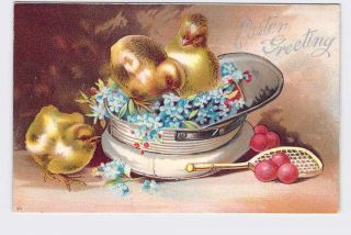 Antique Postcard Easter Chickens Chicks Hat Tennis Squash Racket Violets Light E