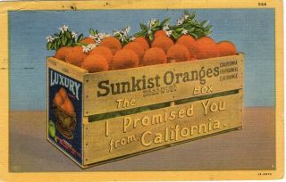 Sunkist Oranges - The Box I Promised You From California