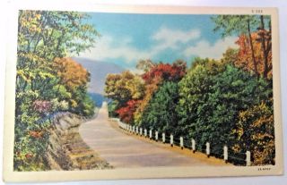 Vintage Linen 1938 " Fall Foliage " C.  T.  Landscape Scene 3a - H787 Postcard