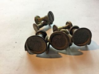Atkins E.  C.  Warranted Superior saw medallions & screws,  brass,  vintage_AT - 1 2