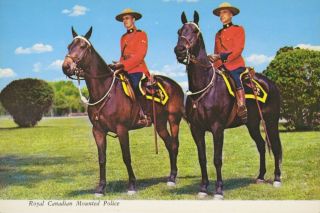 Rcmp Mounties Royal Canadian Mounted Police Mountie Vintage Postcard D17