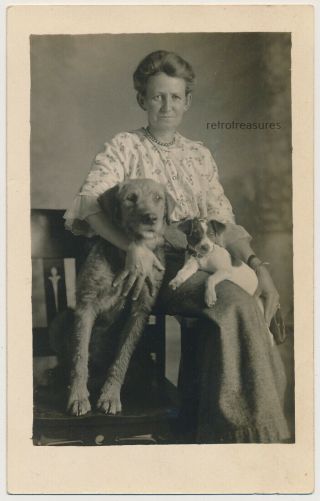 Dog Loving Woman W Labrador Fox Terrier Vtg 1910 