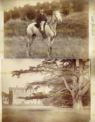 Old Equestrian Albumen Photos Unidentified House & Hunt Antique Album Page 1880s