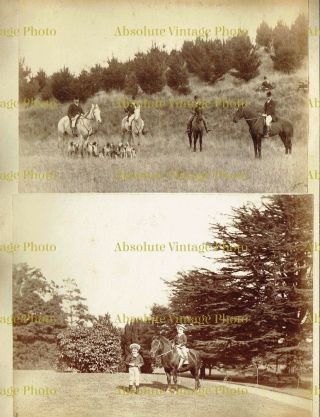 OLD EQUESTRIAN ALBUMEN PHOTOS UNIDENTIFIED HOUSE & HUNT ANTIQUE ALBUM PAGE 1880S 2