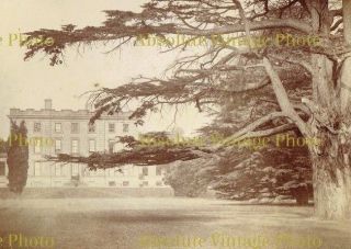 OLD EQUESTRIAN ALBUMEN PHOTOS UNIDENTIFIED HOUSE & HUNT ANTIQUE ALBUM PAGE 1880S 3
