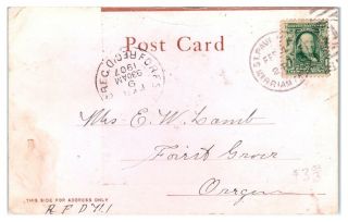 1907 Minorca Eggs,  Can You Beat ' Em? H.  C.  Wickey,  Eveleth,  MN Postcard 5D 2