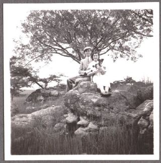 Vintage 1930s Smooth Hair Fox Terrier Dog Posing On Rock Pile Mexico Old Photo