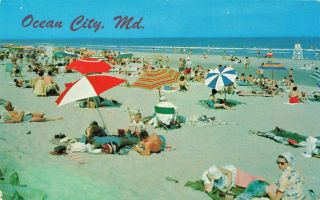 Postcard Sun Bathers On The Beach Ocean City Maryland