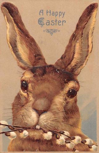 Easter Greetings Bunny Rabbit Embossed Vintage Postcard Jf685174