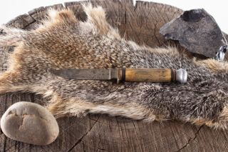 Solingen Fixed Blade German Made Hunting Knife,  Antler Or Bone Handle