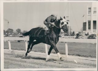 1939 Photo Louisveill Kentucky Derby Candidate T M Dorsett Hays Workout