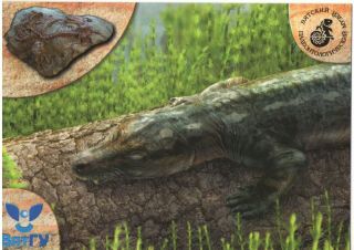 2014 Dinosaur Karenites Ornamentatus Vyatka Paleontology Museum Russian Postcard
