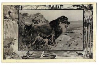 1909 Mintz Postcard Teddy Roosevelt 