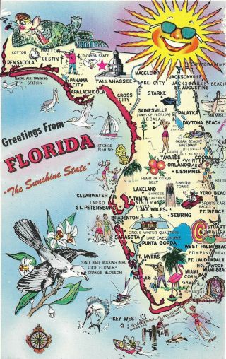 Vintage Chrome Postcard,  Picture Map Of Florida The Sunshine State