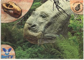 2014 Dicynodont Sceleton Vyatka Paleontology Dinosaur Museum Russian Postcard