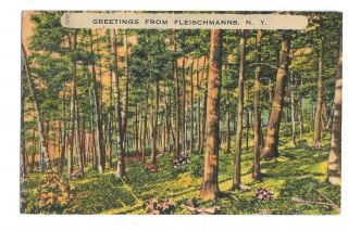 Vintage Postcard Greetings From Fleischmanns Ny Linen Era Pm