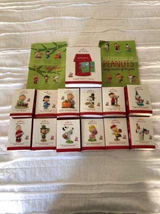 Mib Peanuts Hallmark Series 12 Months Of Fun Ornaments,  Display All - Holidays