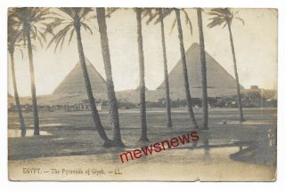 Egypt,  The Pyramids Of Giza,  Early 20th Century Ll Real Photo Postcard 205p