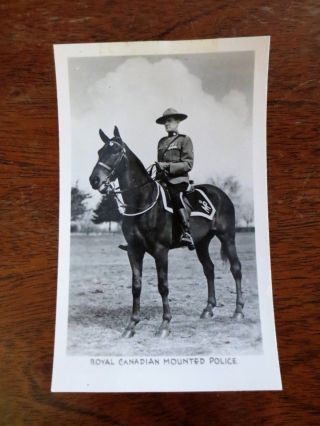1940s Royal Canadian Mounted Police Uniformed Horse Photograph Card Canada